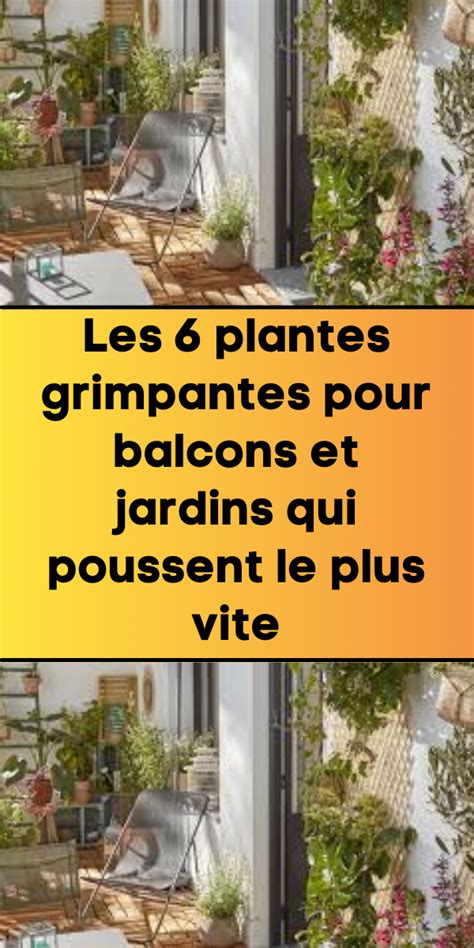 Schéma explicatif montrant l'orientation optimale des balcons pour les plantes grimpantes