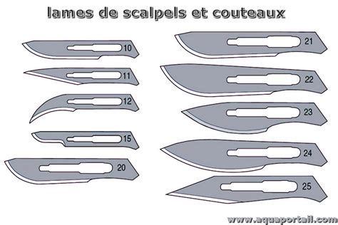 Infographie comparant les différents types de lames de débroussailleuse et leurs applications