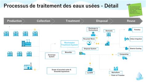 Infographie des étapes pour un traitement écologique des plantes
