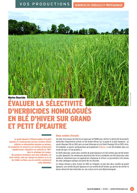 infographie sélectivité des herbicides
