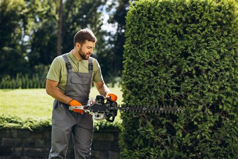 Représentation symbolique d'un jardinier partageant ses connaissances avec un collègue