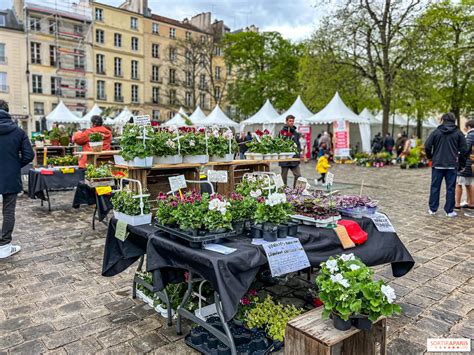 marchés aux fleurs de printemps à Colmar
