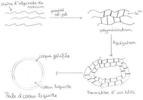 Schéma moléculaire du chlorure de calcium