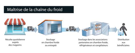 Schéma explicatif illustrant la chaîne du froid et la conservation des vitamines