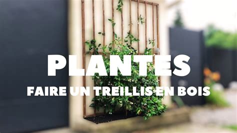 Planter un chèvrefeuille au pied d'un treillis mural