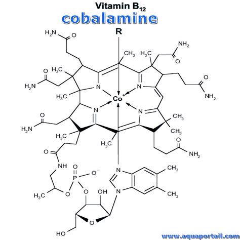 Structure chimique de la cobalamine