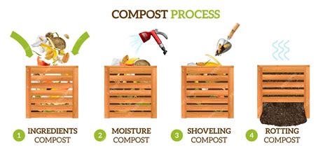 Processus de compostage