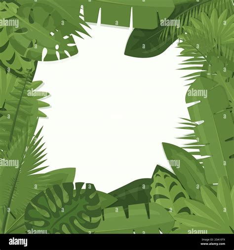 Illustration vectorielle de feuilles de jungle