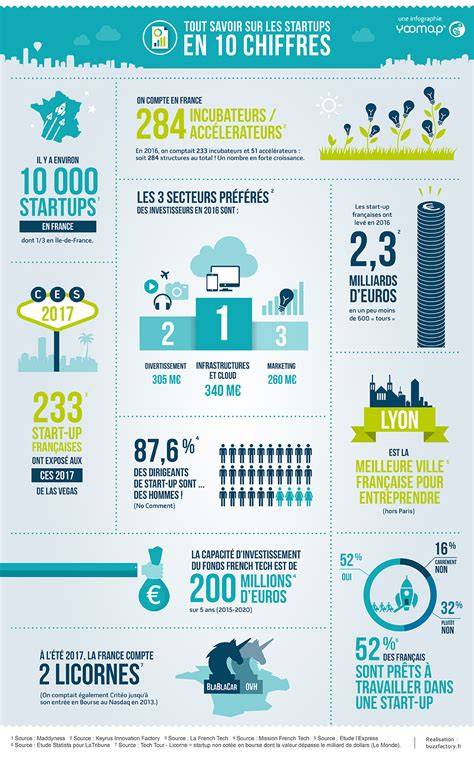 Infographie sur les étapes clés de la plantation de bulbilles