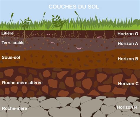 Schéma des différentes couches d'un sol viticole