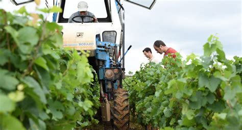 Images des différents outils de travail du sol en viticulture