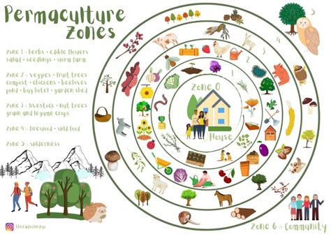 Illustration of permaculture principles in action