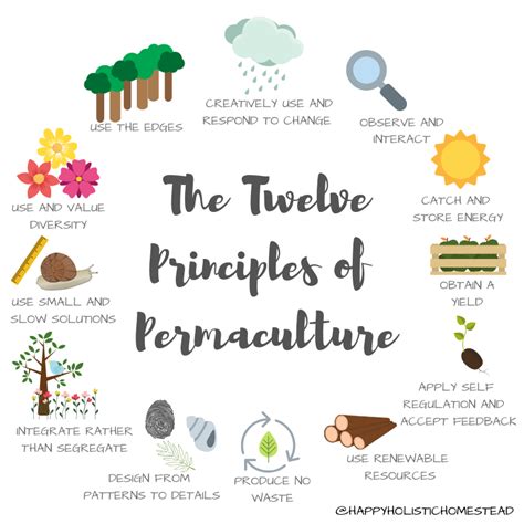 Infographic illustrating the 12 principles of permaculture