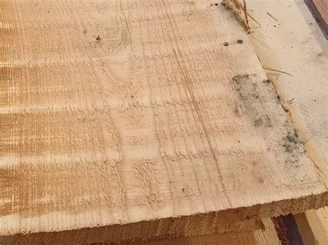 Exemple de moisissures sur bois imprégné