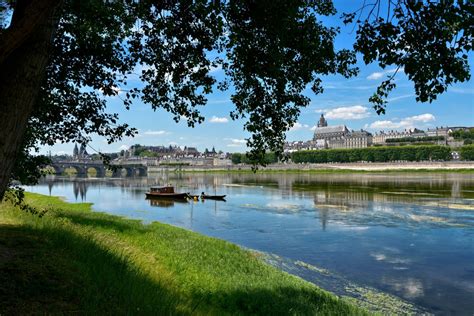 Paysage des bords de Loire avec sa végétation diversifiée