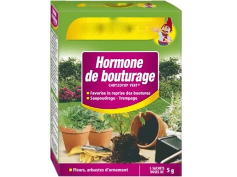 Différentes formes d'hormones de bouturage : poudre, gel, liquide