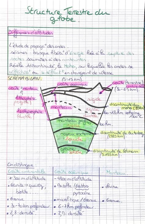 Schéma global de la structure du terrain et des zones de jeu