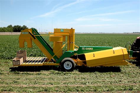 Schéma technique d'une récolteuse de haricots en action dans un champ