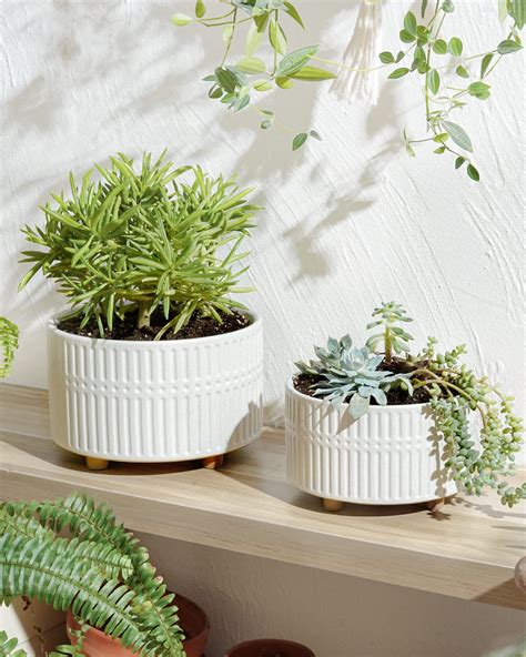 une sélection de cache-pots en céramique élégants sans trous de drainage posés sur une étagère moderne
