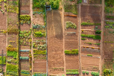 Vue aérienne d'un potager biologique diversifié en milieu rural