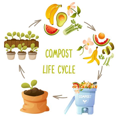 Diagramme du cycle de décomposition du compost