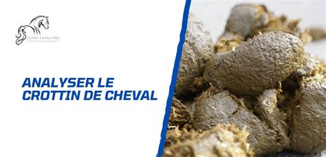 Une Licorne déposant du crottin