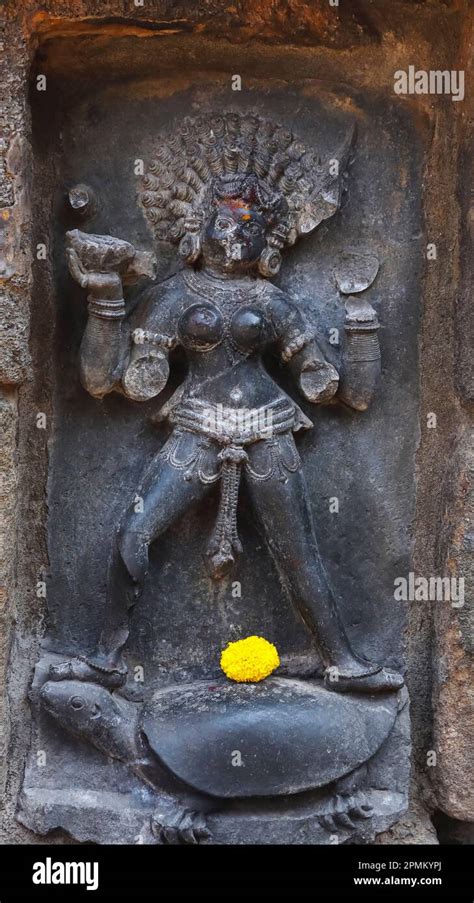 Statue de Yogini dans un temple ancien