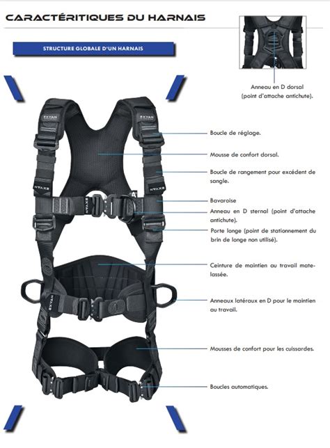 Détail d'un harnais d'élagage professionnel