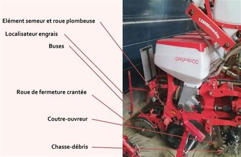 Schéma illustrant la technique herbisemis et binage