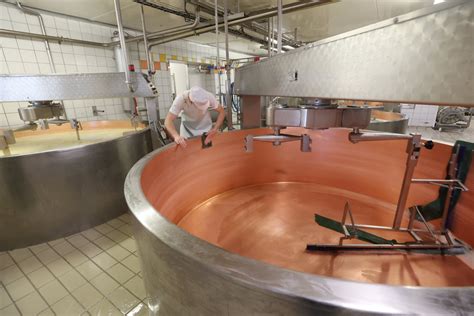 Intérieur d'une fromagerie avec cuves en cuivre