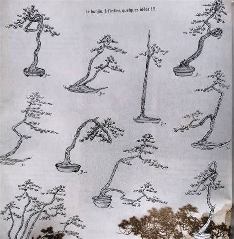 Arbre bonsaï style lettré