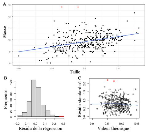 Graphique comparatif montrant la relation entre la taille du tronc et la profondeur idéale du pot