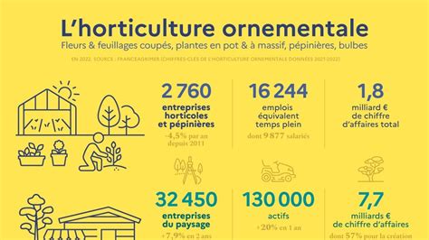 Schéma illustrant les différentes spécialités de l'horticulture : ornementale, maraîchère, fruitière et pépinière