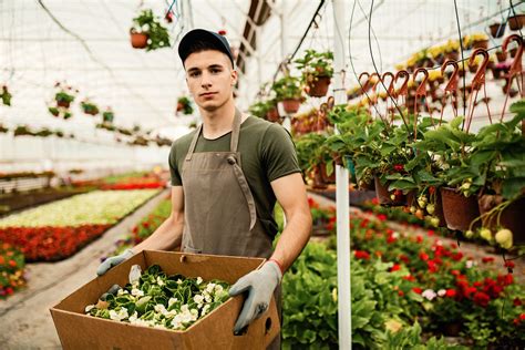 Photographie d'un horticulteur travaillant dans une serre moderne automatisée
