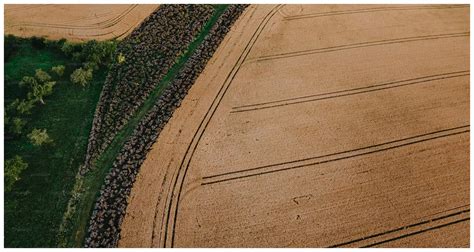 Champ agricole avec une rivière en premier plan