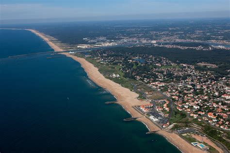 Vue panoramique du littoral d'Anglet avec ses pins caractéristiques