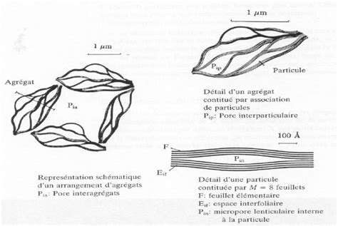Structure microscopique de l'argile