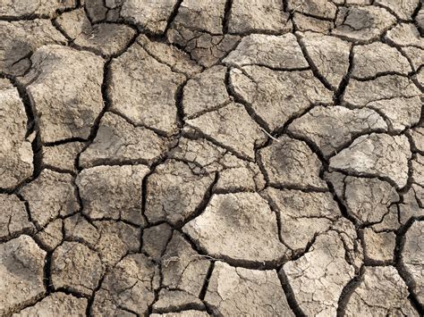 Sol argileux craquelé en période de sécheresse