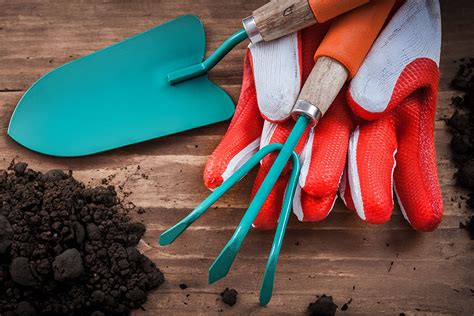 Illustration d'un jardin bien entretenu avec des outils de désherbage variés