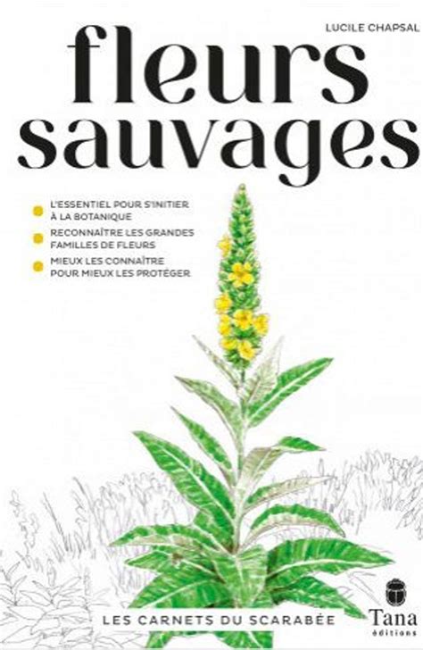 Groupe explorant la flore sauvage lors d'une sortie guidée