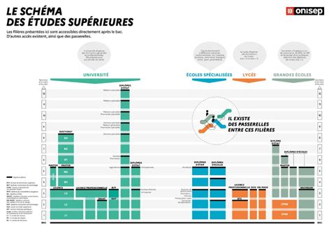 Schéma organisationnel des diplômes universitaires en France