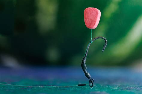 Photo macro d'un montage avec esche naturelle et hameçon adapté
