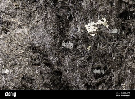 Photo gros plan montrant la texture fibreuse et les reflets dorés d'une pierre d'œil de tigre montée sur un bonsaï.