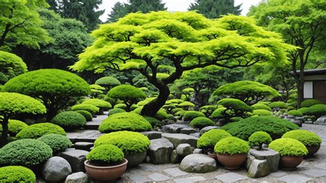 Un bonsaï soigneusement sculpté dans un jardin zen