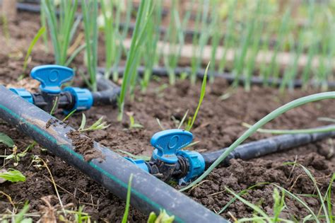 Infographie montrant les étapes d'entretien saisonnier d'un système d'irrigation