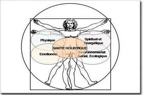 Schéma illustrant le concept holistique de la permaculture et ses applications dans la vie quotidienne