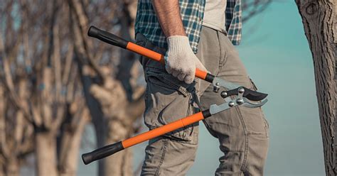 Outils de jardinage pour la taille des arbres