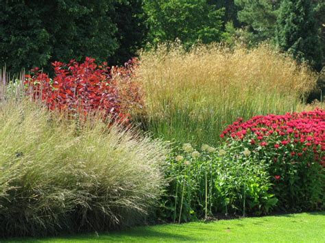 jardin avec graminées ornementales