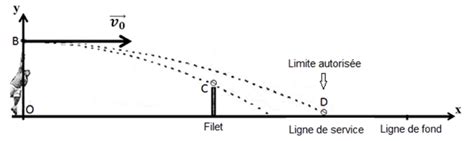 Schéma des trajectoires de saut optimales sur les rebords étroits
