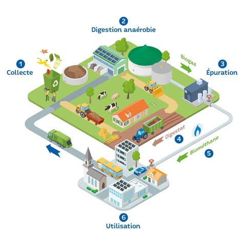 Schéma illustrant le cycle de transformation des déjections animales en compost enrichi pour le potager